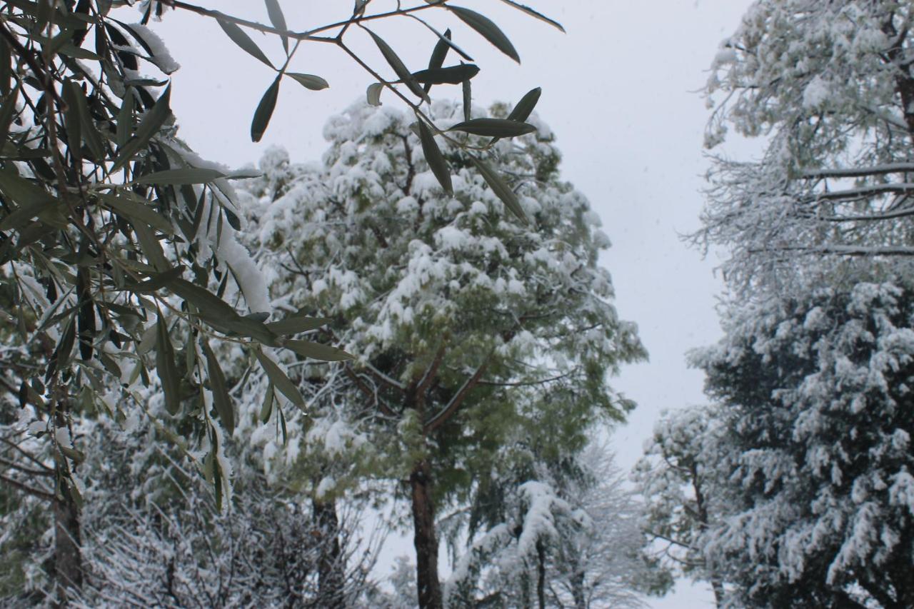 Hotel Il Giardino Dei Limoni Montecassiano Zewnętrze zdjęcie