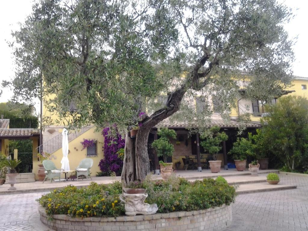 Hotel Il Giardino Dei Limoni Montecassiano Zewnętrze zdjęcie